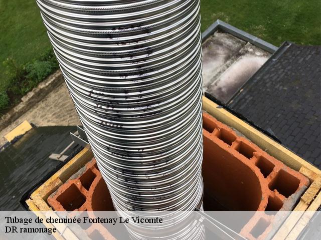 Tubage de cheminée  fontenay-le-vicomte-91540 DR ramonage