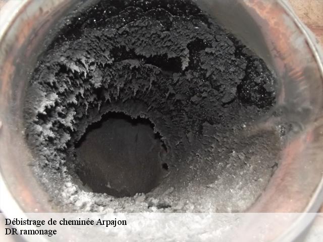 Débistrage de cheminée  arpajon-91290 DR ramonage