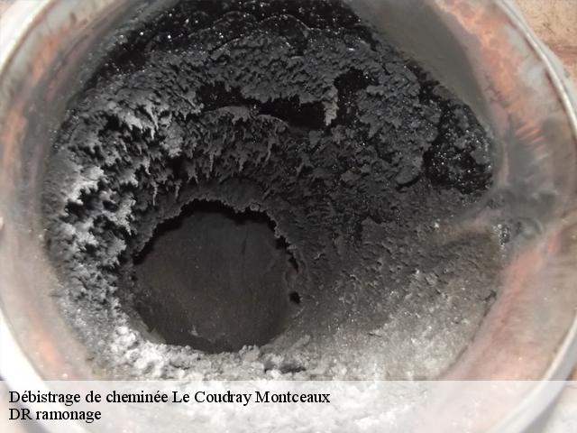 Débistrage de cheminée  le-coudray-montceaux-91830 DR ramonage