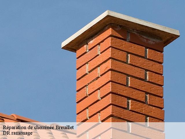 Réparation de cheminée breuillet-91650 DR ramonage