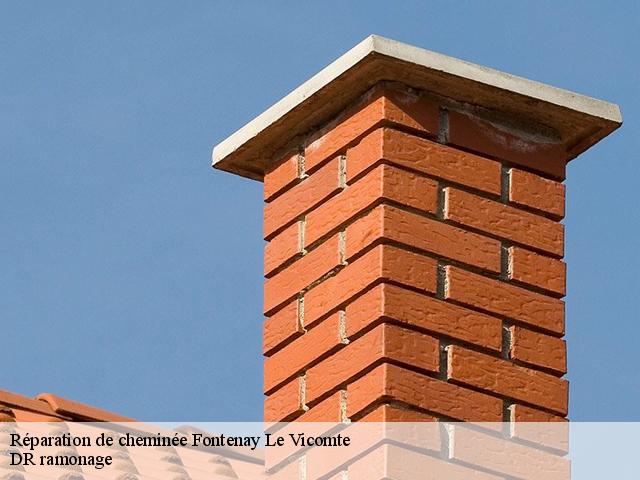 Réparation de cheminée  fontenay-le-vicomte-91540 DR ramonage