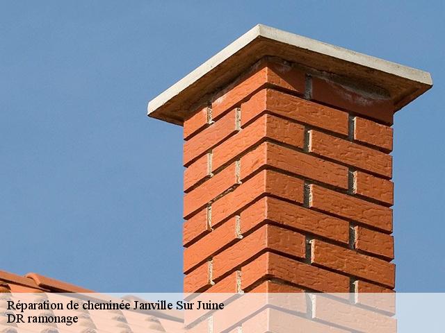 Réparation de cheminée  janville-sur-juine-91510 DR ramonage