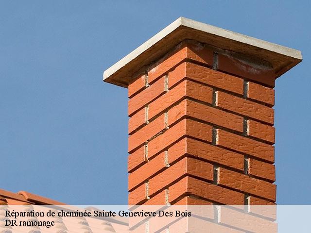 Réparation de cheminée sainte-genevieve-des-bois-91700 DR ramonage