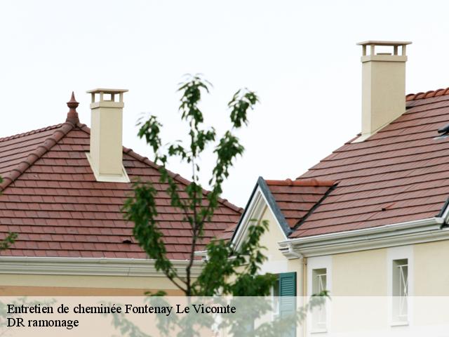 Entretien de cheminée  fontenay-le-vicomte-91540 DR ramonage