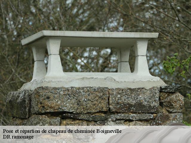Pose et répartion de chapeau de cheminée  boigneville-91720 DR ramonage