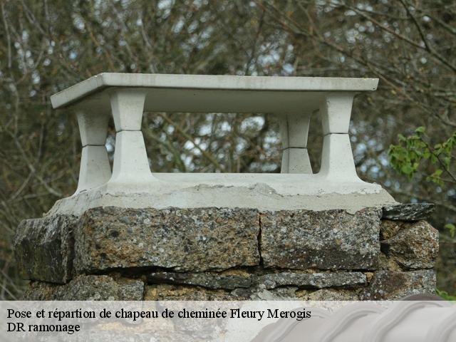 Pose et répartion de chapeau de cheminée fleury-merogis-91700 DR ramonage