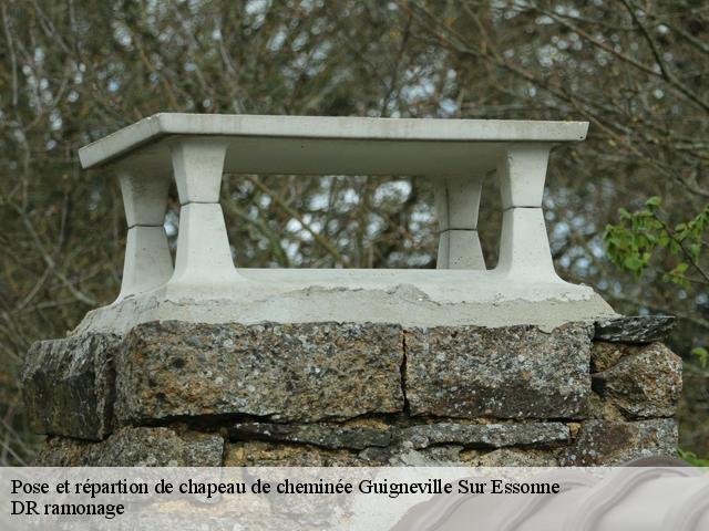 Pose et répartion de chapeau de cheminée  guigneville-sur-essonne-91590 DR ramonage